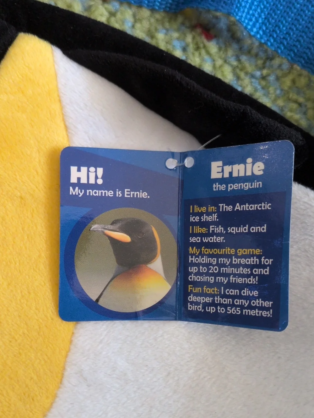 Kids Penguin Backpack - NWT